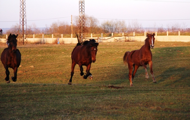 Jeseň - zima 2007 001