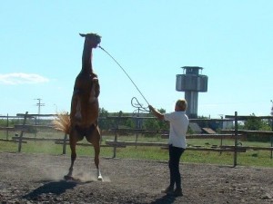 Horsemanship7.jpg