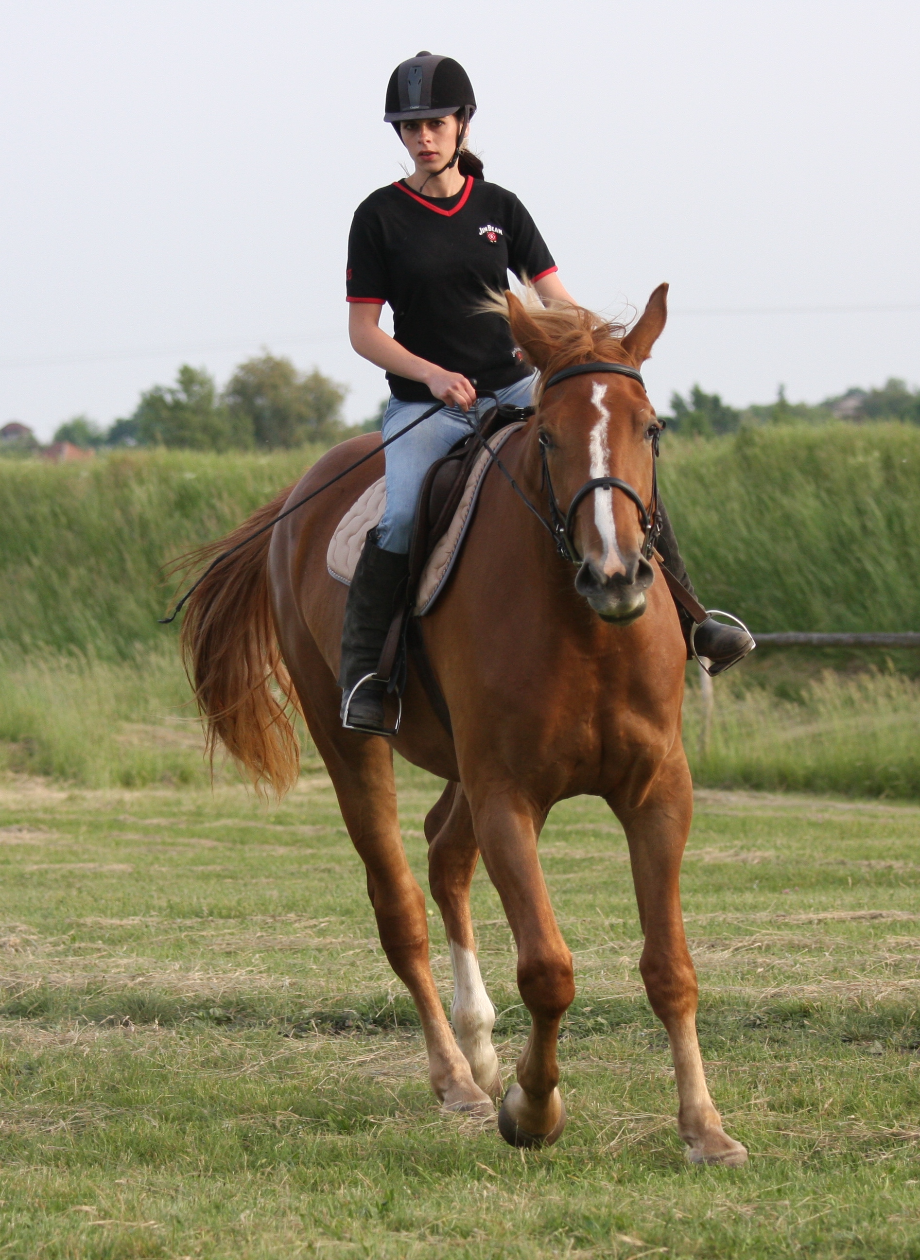 A klusáme ďalej...