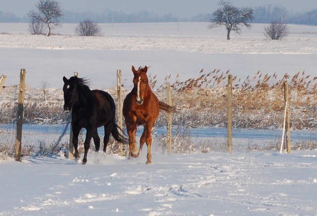 DSC_0069.JPG