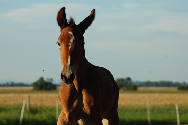 DSC_0057.JPG